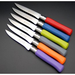 6 Couteau Steak Country Couleurs
