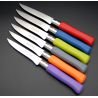 6 Couteaux Steak Country Couleurs