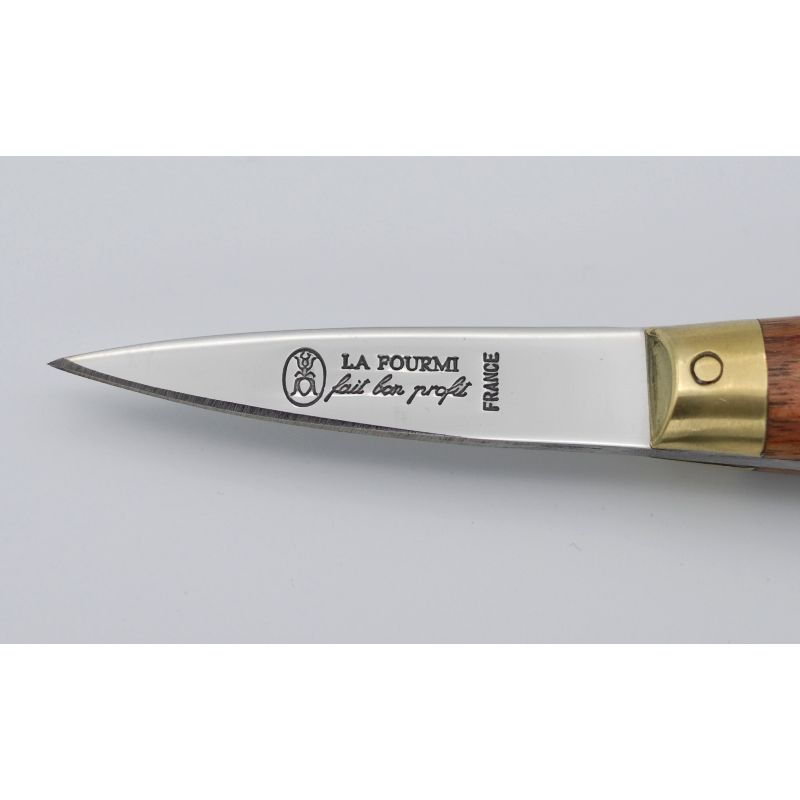 couteau-a-huitres-lancette-professionnel manche-bois-rivets ouvre huitre  lame acier inoxydable inox gh31p - Etablissements Morel