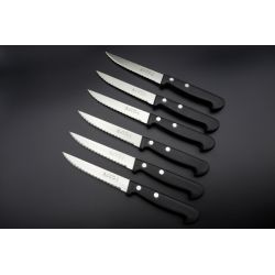 6 Couteaux de table La Fourmi ABS / Micro