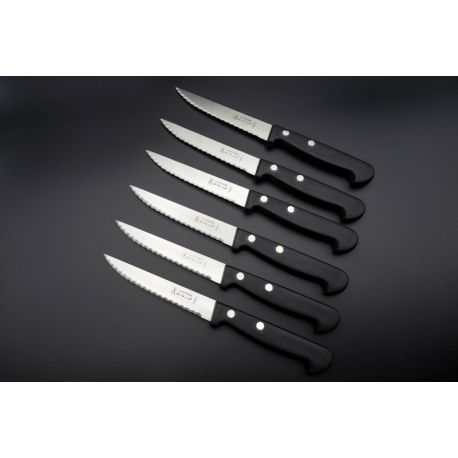 6 couteaux de table Abs / micro La Fourmi