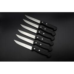 6 Couteaux de table La Fourmi ABS / Lame Lisse