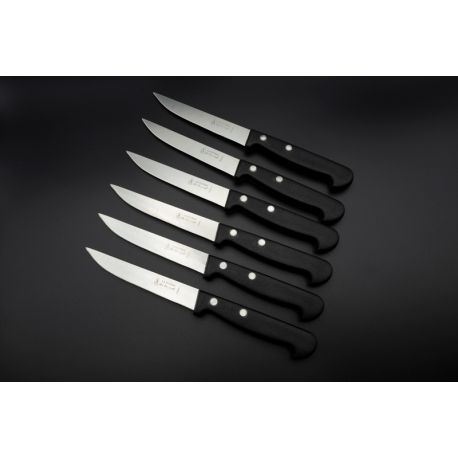 6 Couteaux de table La Fourmi ABS / Lisse